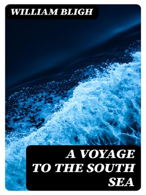 cover image of A Voyage to the South Sea